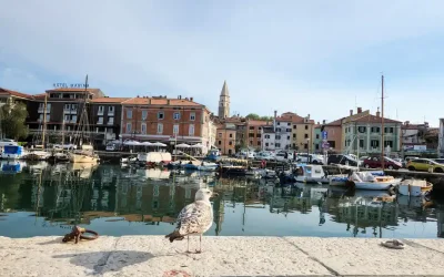 Best Places to Visit in Istria on a Private Tour